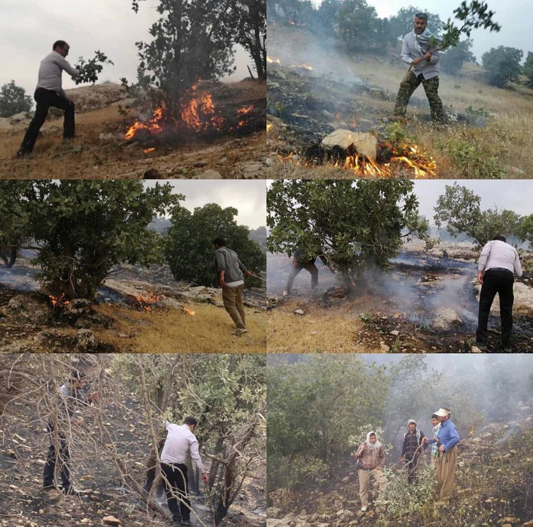 آتش سوزی جنگل های بلوط و مراتع شهرستان بدره مهار شد